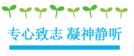 湖南望城县雷锋汽车运输有限公司,长沙城市交通,校车运营,安保服务,新能源科技
